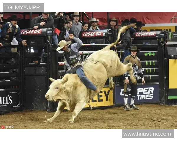 武汉极限运动队荣登全国极限运动节奏排行榜第五名的辉煌成就