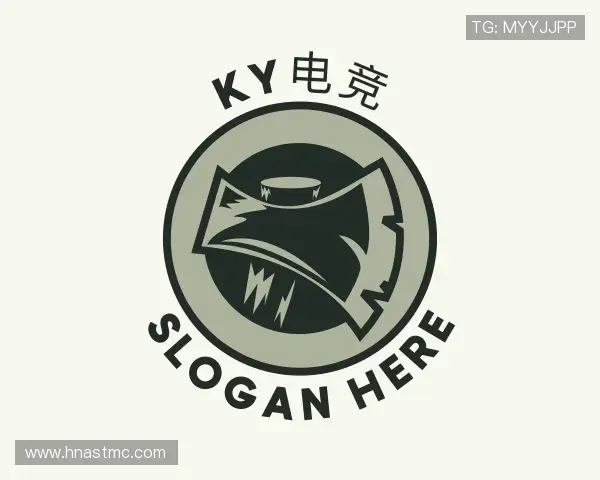关于KY电竞